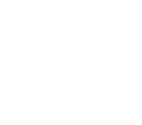 nta-footer-logo